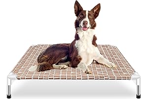 Elevated Medium Dog Bed: Comfort, Convenience, and Enhanced Well-being for Your Canine Companion