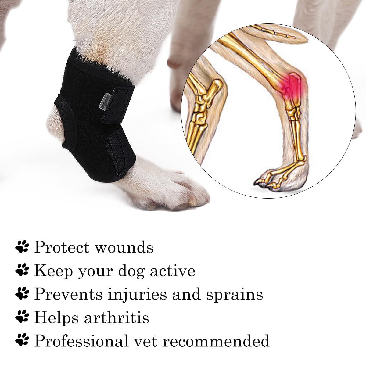 BT Bear Dog Brace Front Rear Short Leg Wrap Sleeve Protects Wounds Pet Brace Heals and Prevent Injuries and Sprain Helps,Large - Image 2