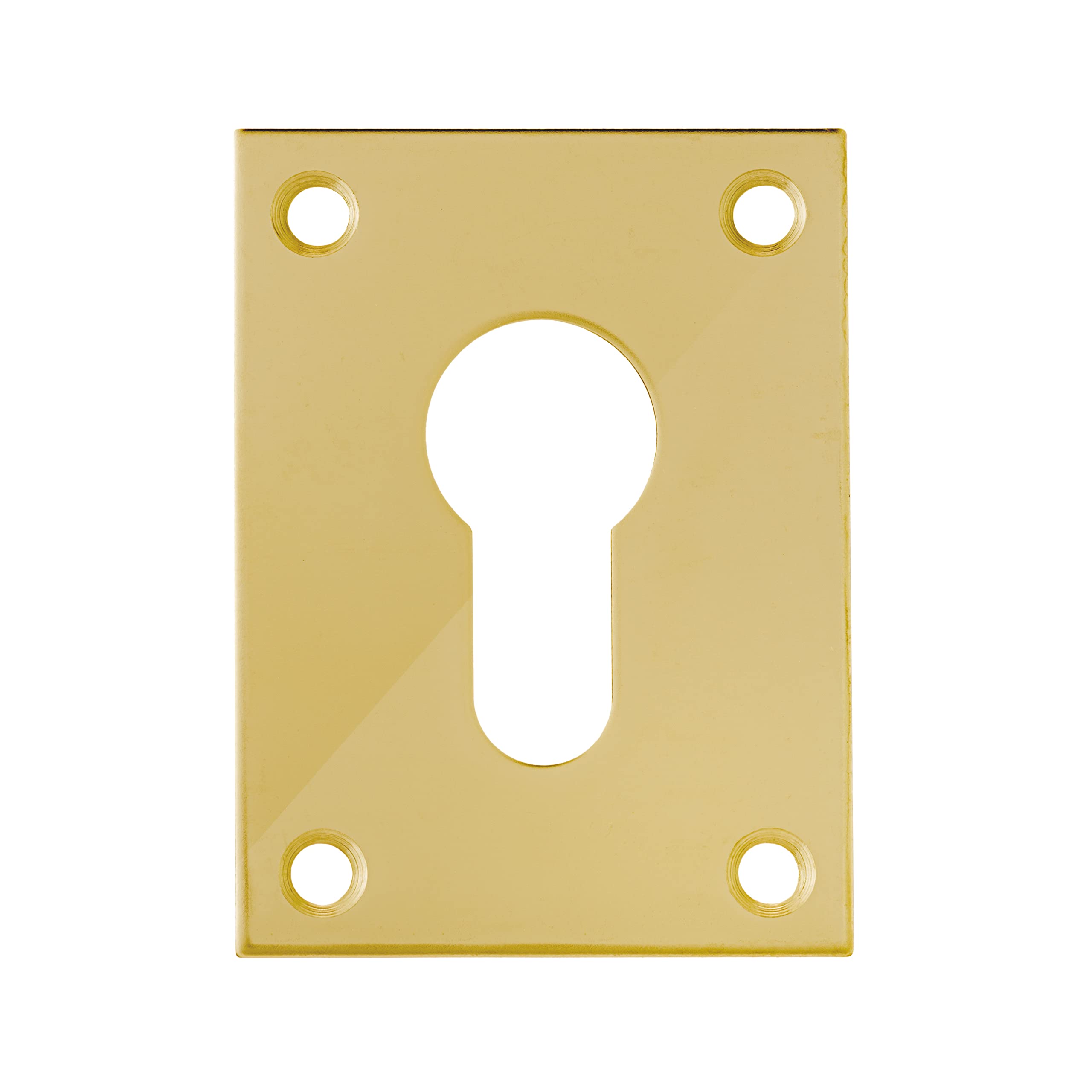 Polished Brass Screw On Flat Plate Euro Escutcheon