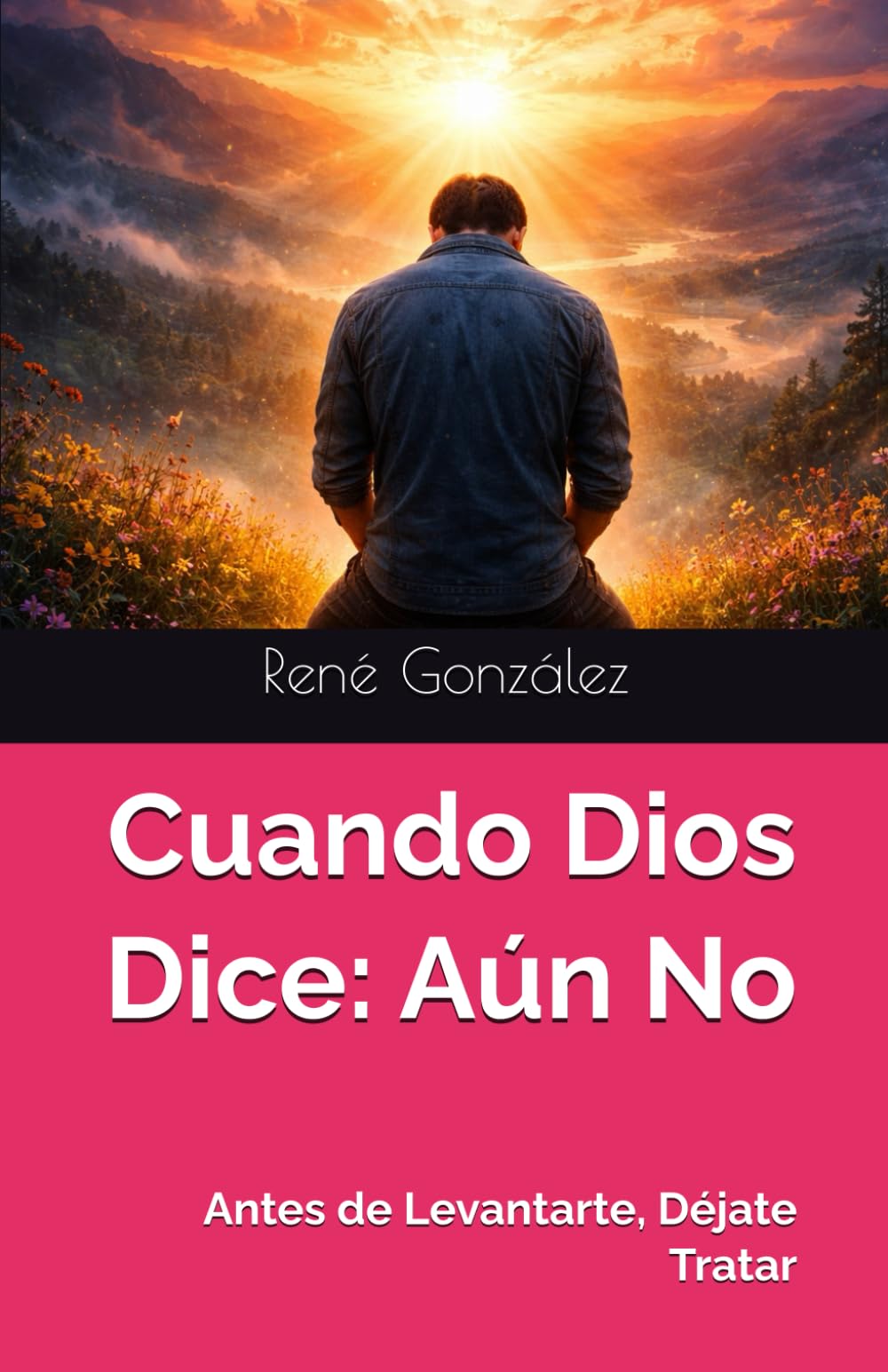 Cuando Dios Dice: Aún No: Antes de Levantarte, Déjate Tratar