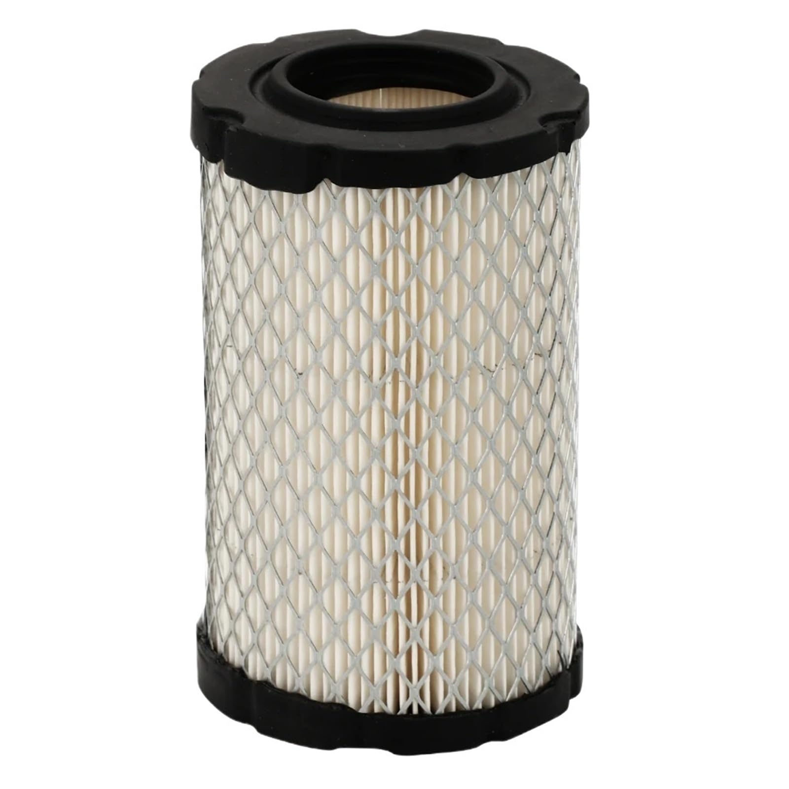Filtre à air 796031 pour l'entretien de pelouse au printemps