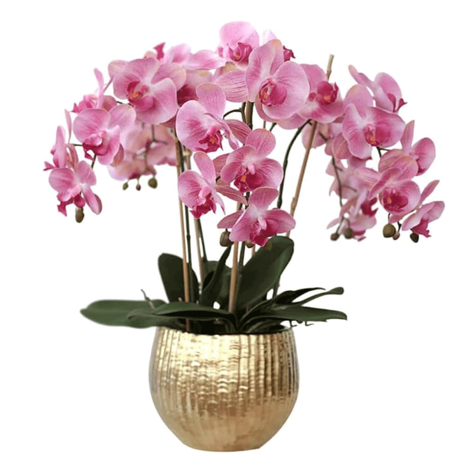 DFGHNBVC Artificial Orchid Faux Orchids With Porcelain Planter Artificial Flower Silk Artificial Phalaenopsis Flowers 65Cm Fake Orchids Artificial Very Natural