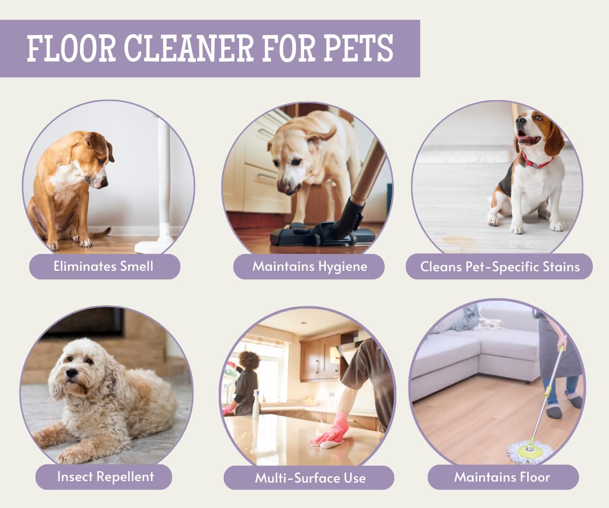 Foodie Puppies Floor Cleaner for Pets - 500ml, Lavender Fragrance | Anti Bacterial Urine Free Odour and Stain Remover | Non-Toxic & Pet Friendly | Wood, Carpet, Tile & Marble Cleaner 4