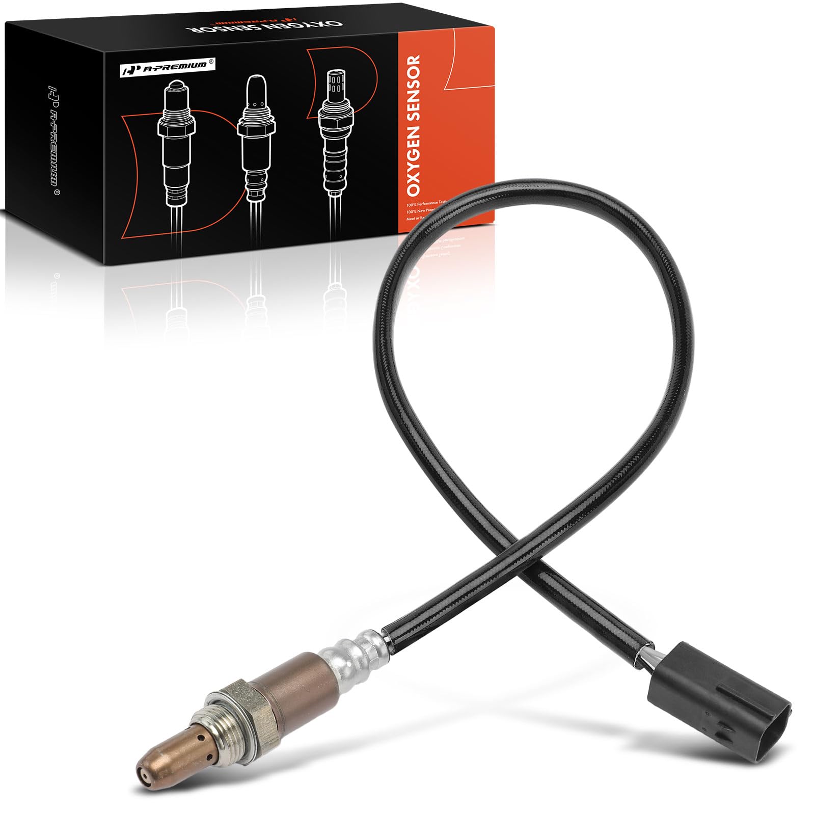 ＡＯＡＯ２３ページ $_10.JPG?set_id=880000500F