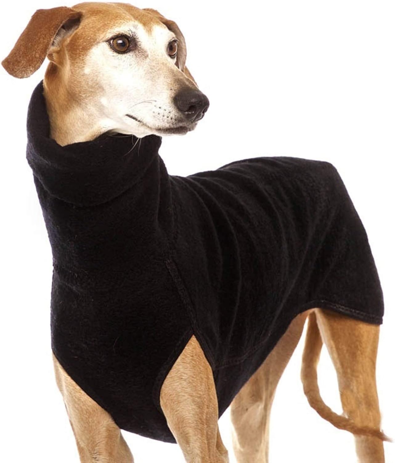 Hound clothes Clearance