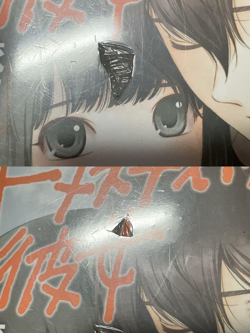 ドメスティックな彼女 全巻初版 ドメスティックな彼女 1-28巻 全巻