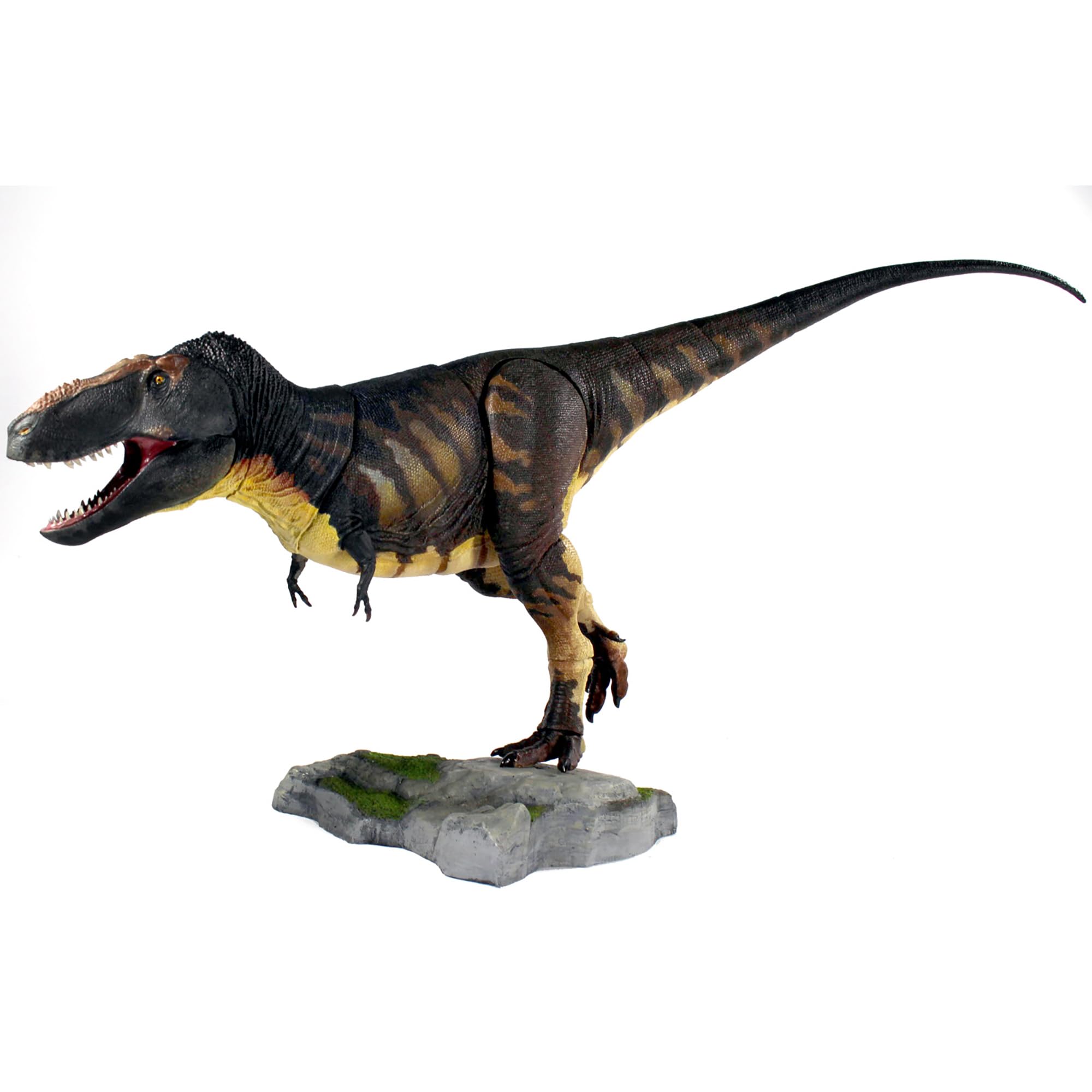 その他 BEASTS OF THE MESOZOIC Tarbosaurus Amazon.com: Beasts of the Mesozoic: Tarbosaurus Bataar - 1