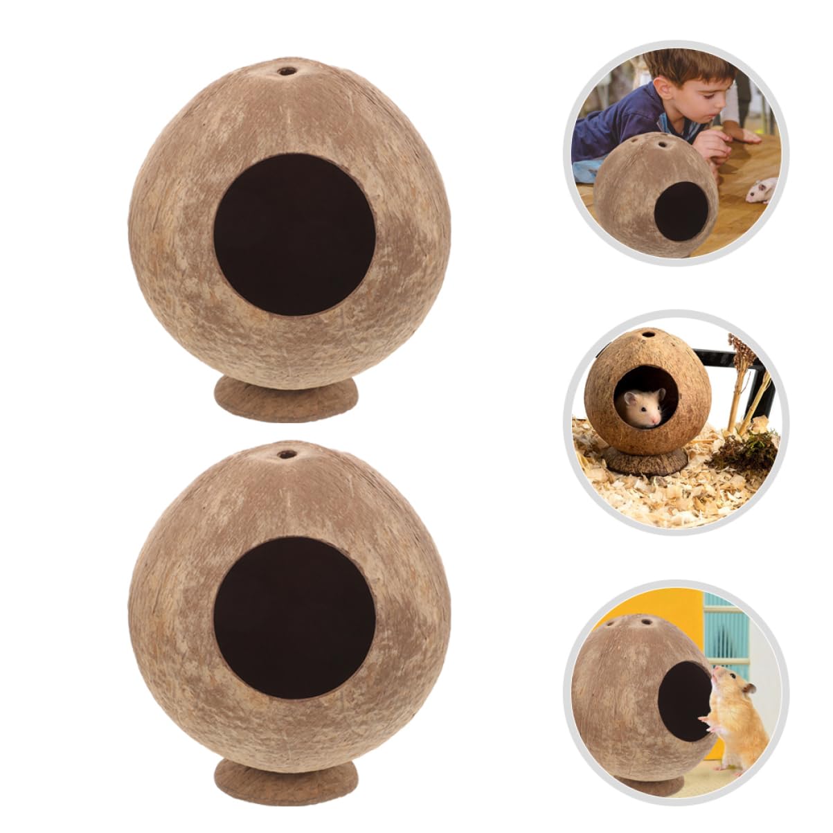 MAGICLULU Braun Kokosnusshütte 2 Stück aus Kokosnussschale Hamster