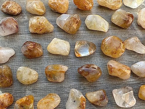 Image of GAF TREASURES 1 /2 LB Golden Healer Quartz Tumbled Stones, Polished Natural Golden Healer Quartz Gemstone, Golden Healer Quartz Healing Crystals (Golden Healer Quartz)