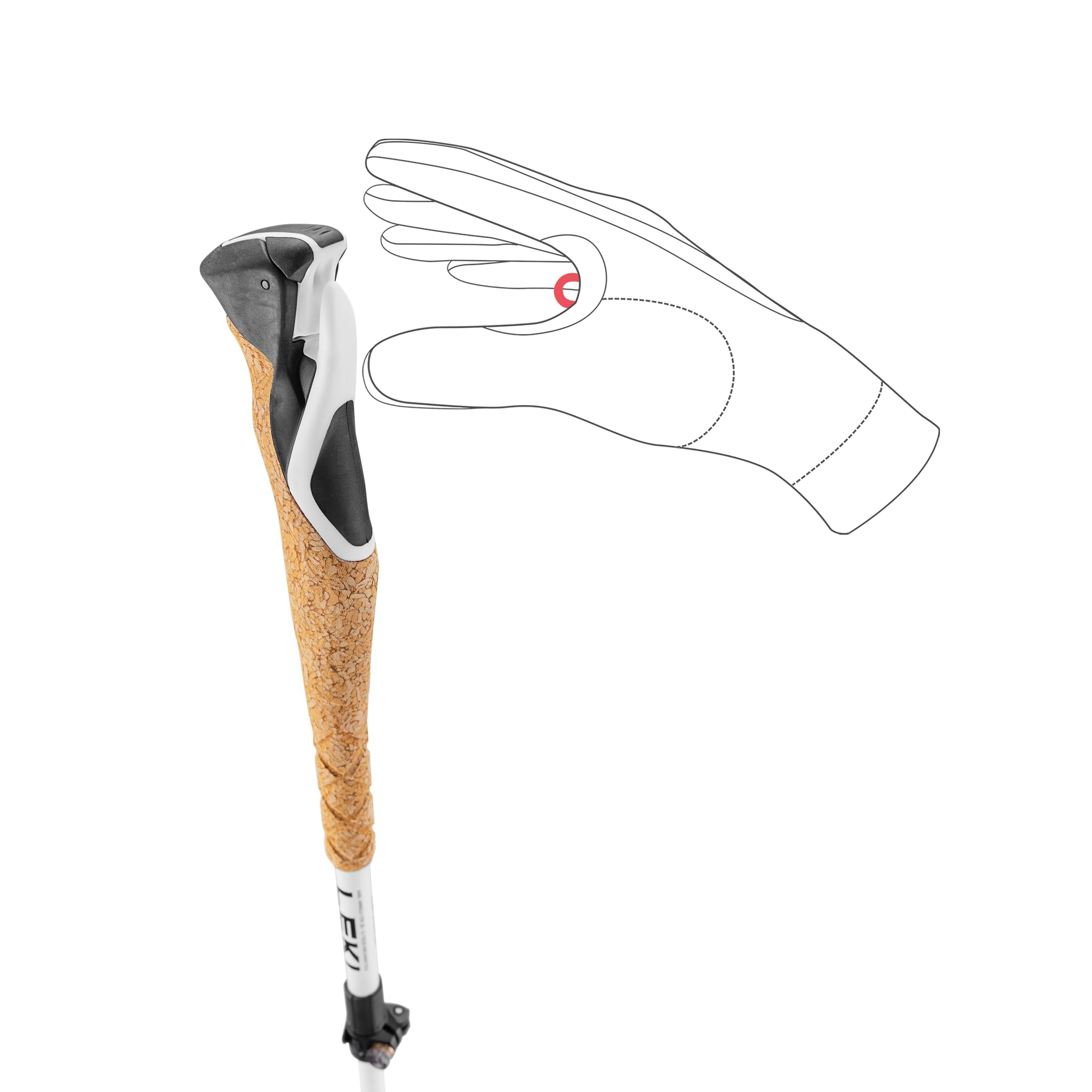 Amazon | レキ(LEKI) ポール クロストレイル FX SUPERLITE セージ