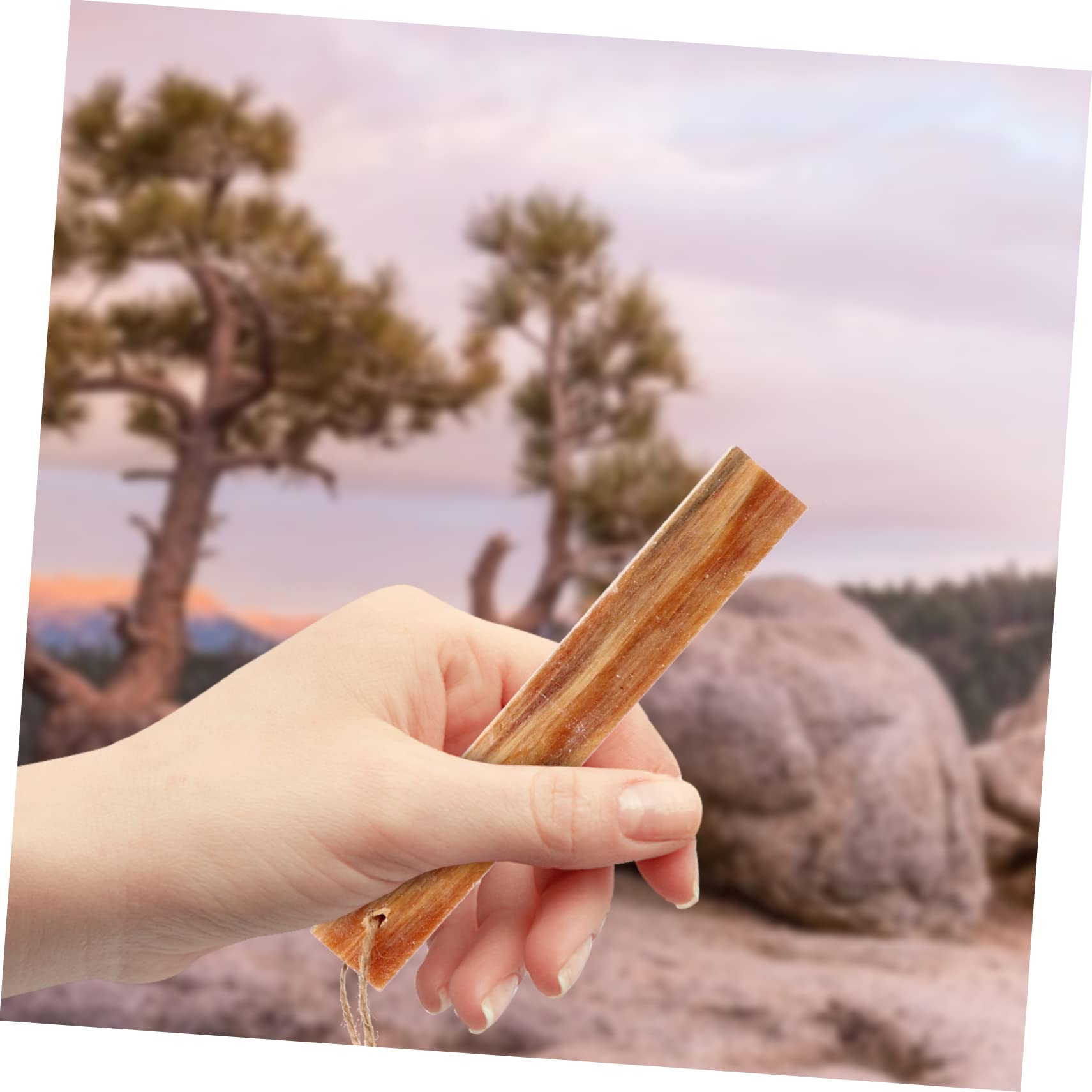 Anneome 4pcs Starter for Camping Hiking and Outdoor Pine Fire Starter Tool Easy to Use Wind Resistant Essential for Outdoor Enthusiasts