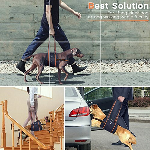 PETBABA Dog Lift Harness, Lifting Support Sling to Help Pet with Weak Back Leg, Aid Mobility and Rehabilitation, Suitable Senior Front Rear Crus Thigh Hip Injury Arthritis - L in Black