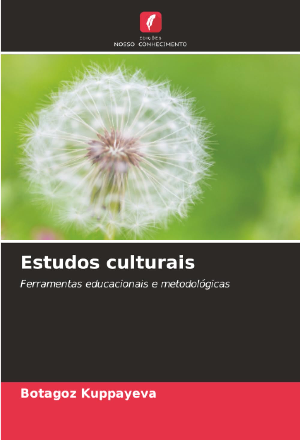 Estudos culturais: Ferramentas educacionais e metodológicas