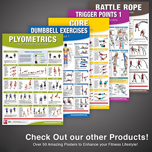 Dumbbell Workout Poster/Chart Set: Shoulder
