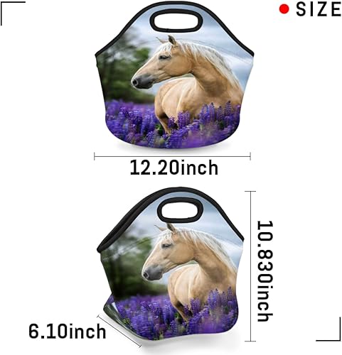 Miniatura 3 de bisibuy Bolsa de almuerzo de neopreno suave y lavable, reutilizable, aislada, ligera, para preparación de comidas, para oficina, trabajo, picnic,