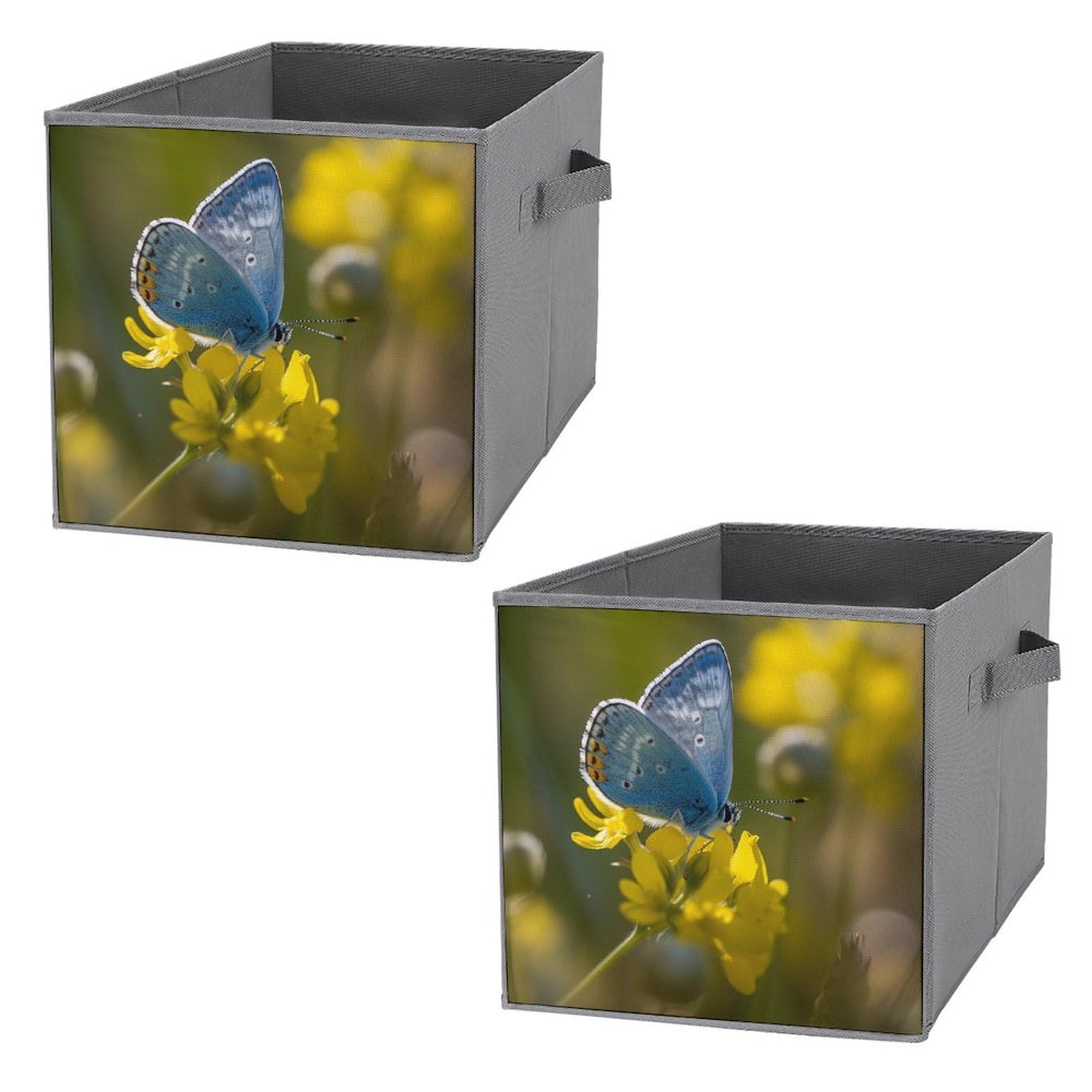 Organiseurs de placard au motif papillon artistique pour dressing chic