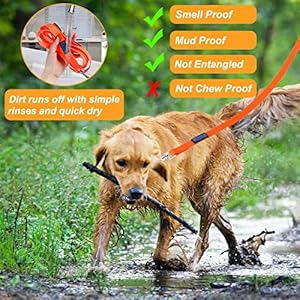 Vivifying Waterproof Long Dog Leash, 20ft Dog Training Leash for Outside, Durable PVC Long Line Lead with Padded Handle for Recall Training, Hiking, Swimming, Beach and Lake (Orange)
