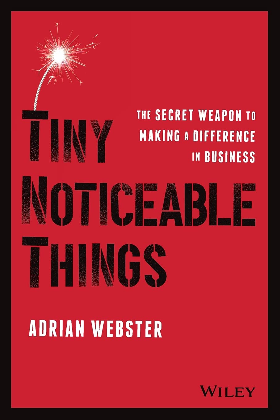 Tiny Noticeable Things: The Secret Weapon to Making a Difference in Business