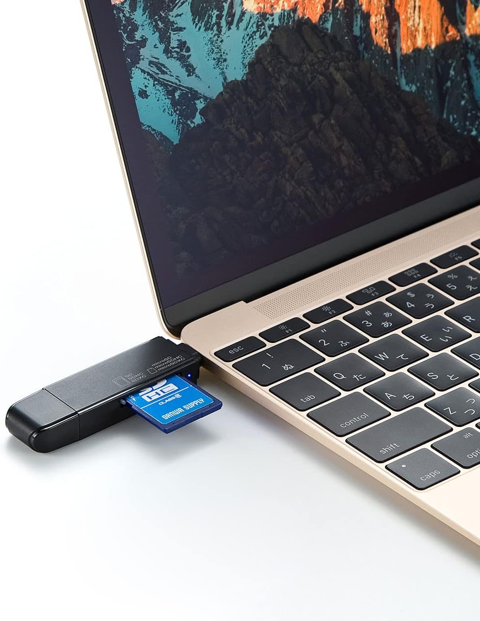 Sanwa Supply ADR-3TCMS6BK Type-C Compact Card Reader, Supports SD/Micro SD Cards