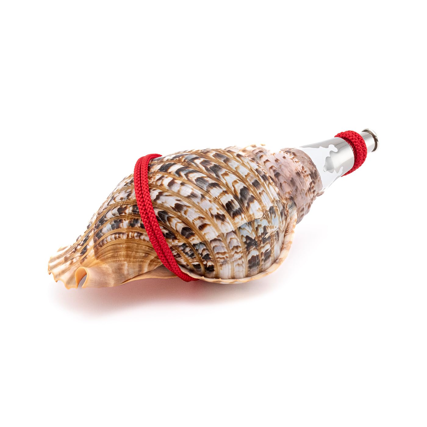 笛太郎　法螺貝2個 笛太郎 法螺貝2個 笛太郎 法螺貝2個 法螺貝（ほら貝）販売のお店