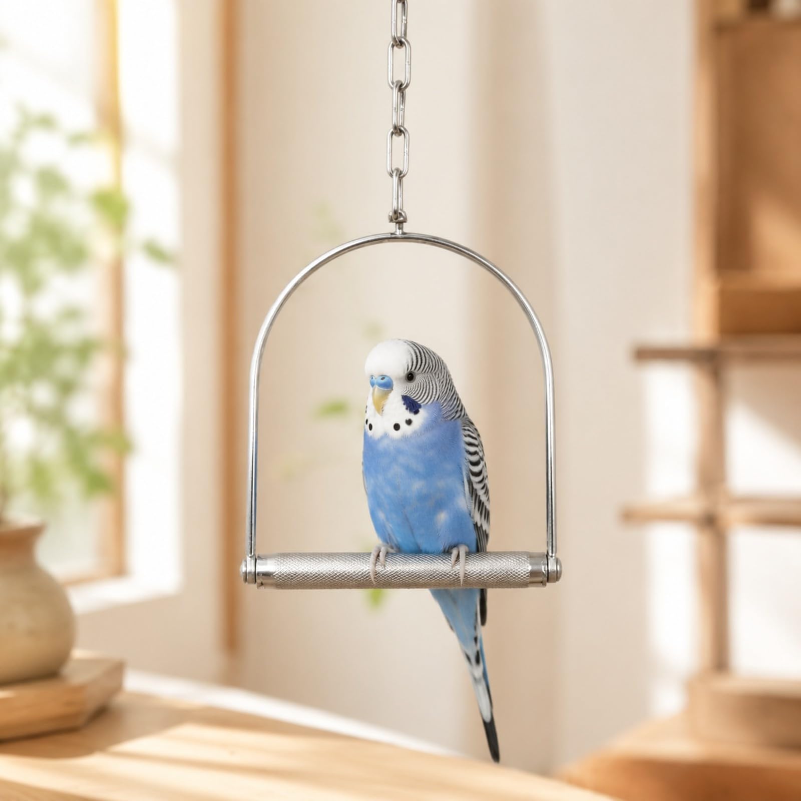 Colcolo Hängende Vogelschaukel aus Edelstahl Edelstahl-Vogelschaukel mit Kette Vogelspielzeug für Haustiervögel, Vogelkäfig, L