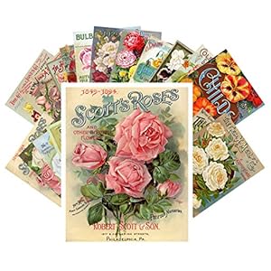 Vintage PostCards 24 pcs Flowers Vintage Gardens and Roses