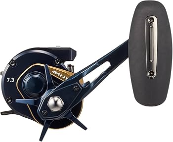 Amazon.co.jp: ダイワ(DAIWA) ジギングベイトリール 25SALTIGA