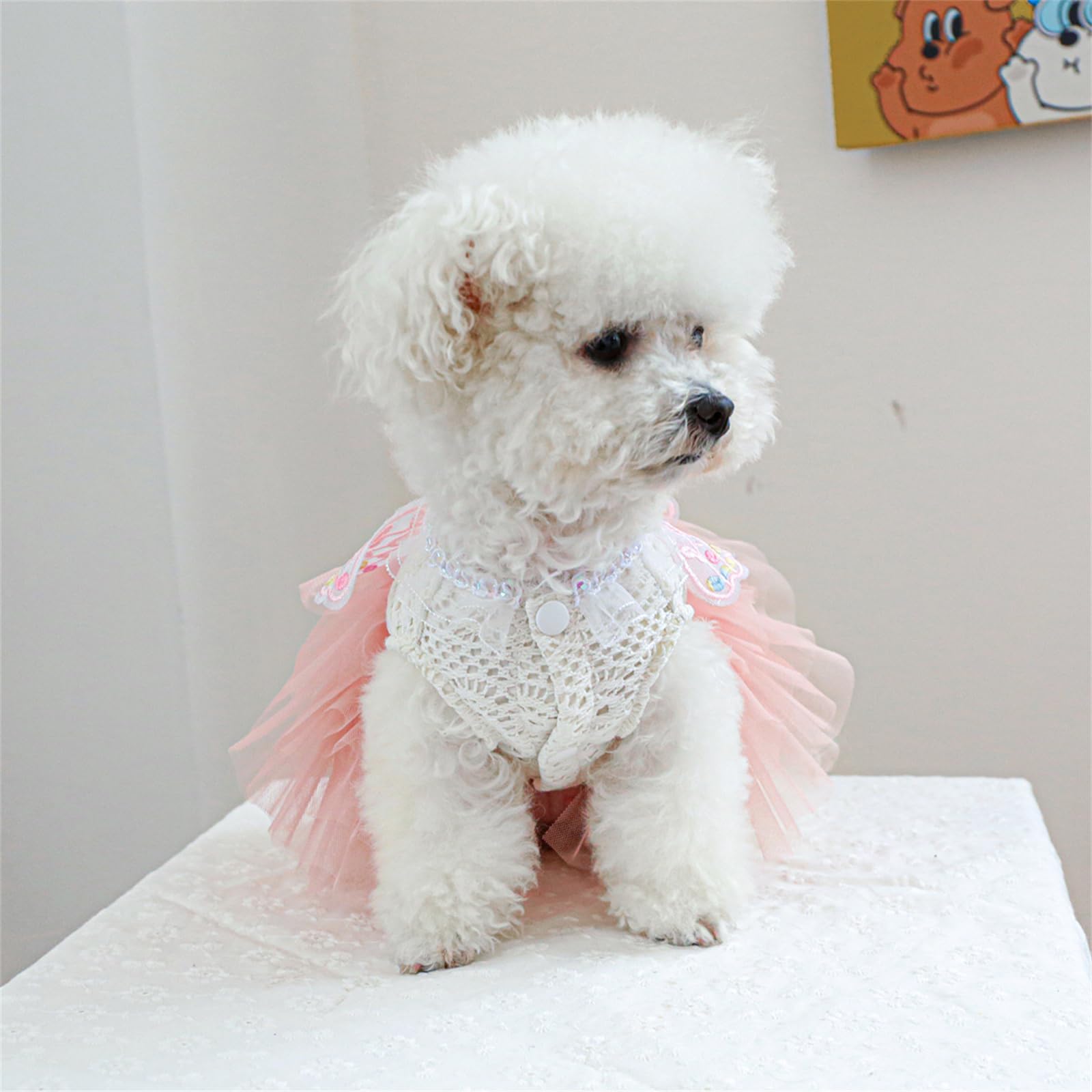 chinese dress ladies Amazon.com: REDYY Vintage Dog Costume Tulle Dress Breathable Small Pet Cats Dogs  Clothes Party Photoshoots Outfit Butterfly Lace Dresses : Pet Supplies