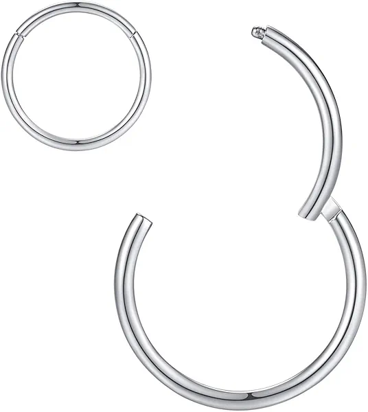 ORANGELOVE Hypoallergenic Nose Rings 20G 18G 16G 14G 12G 10G 8G 316l Surgical Steel Septum Jewelry Hinged Segment Ring Body Piercing Nose Hoop Lip Rings Nose Helix Cartilage Rook Earrings