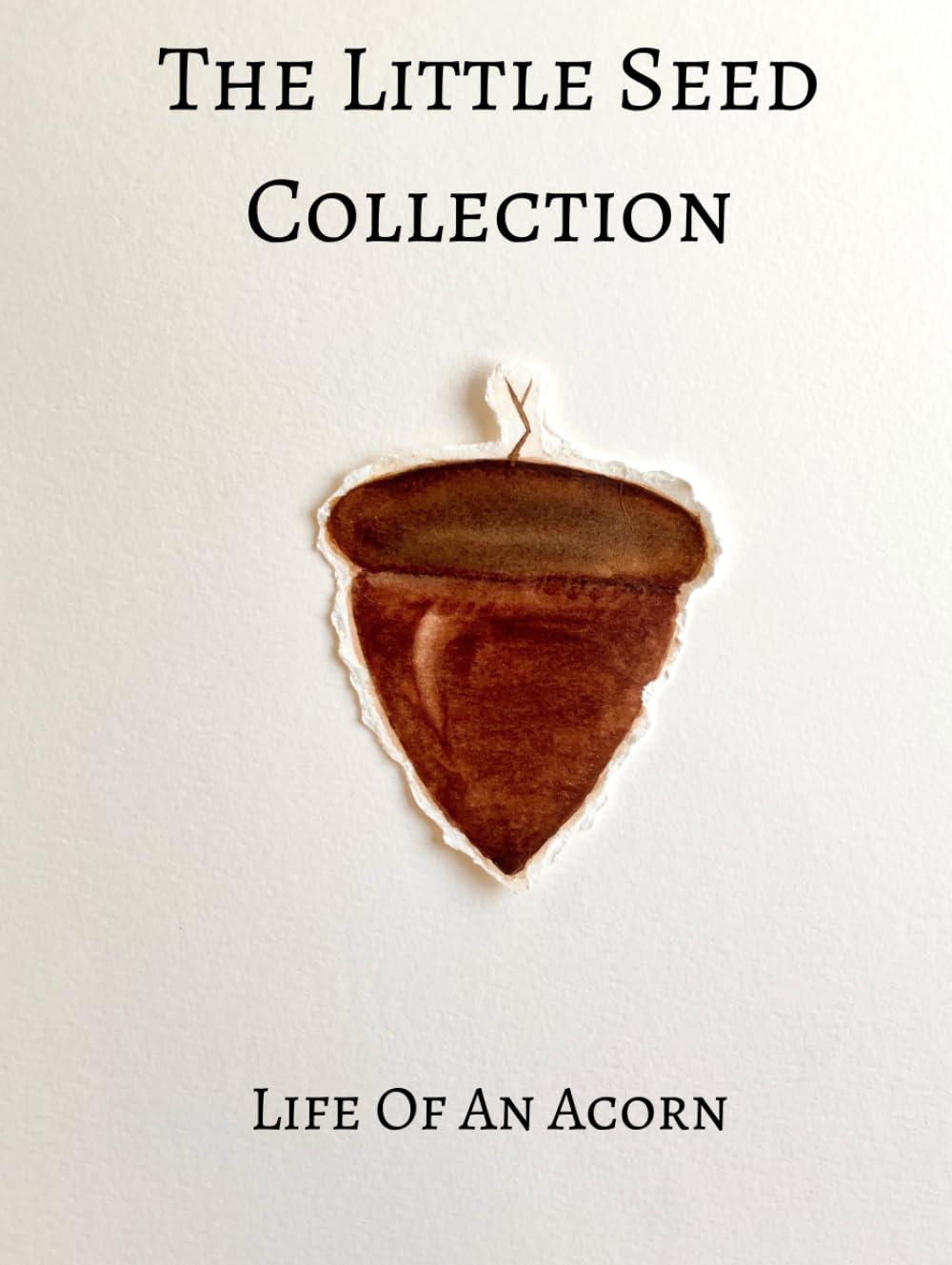Life Of An Acorn (The Little Seed Collection)
