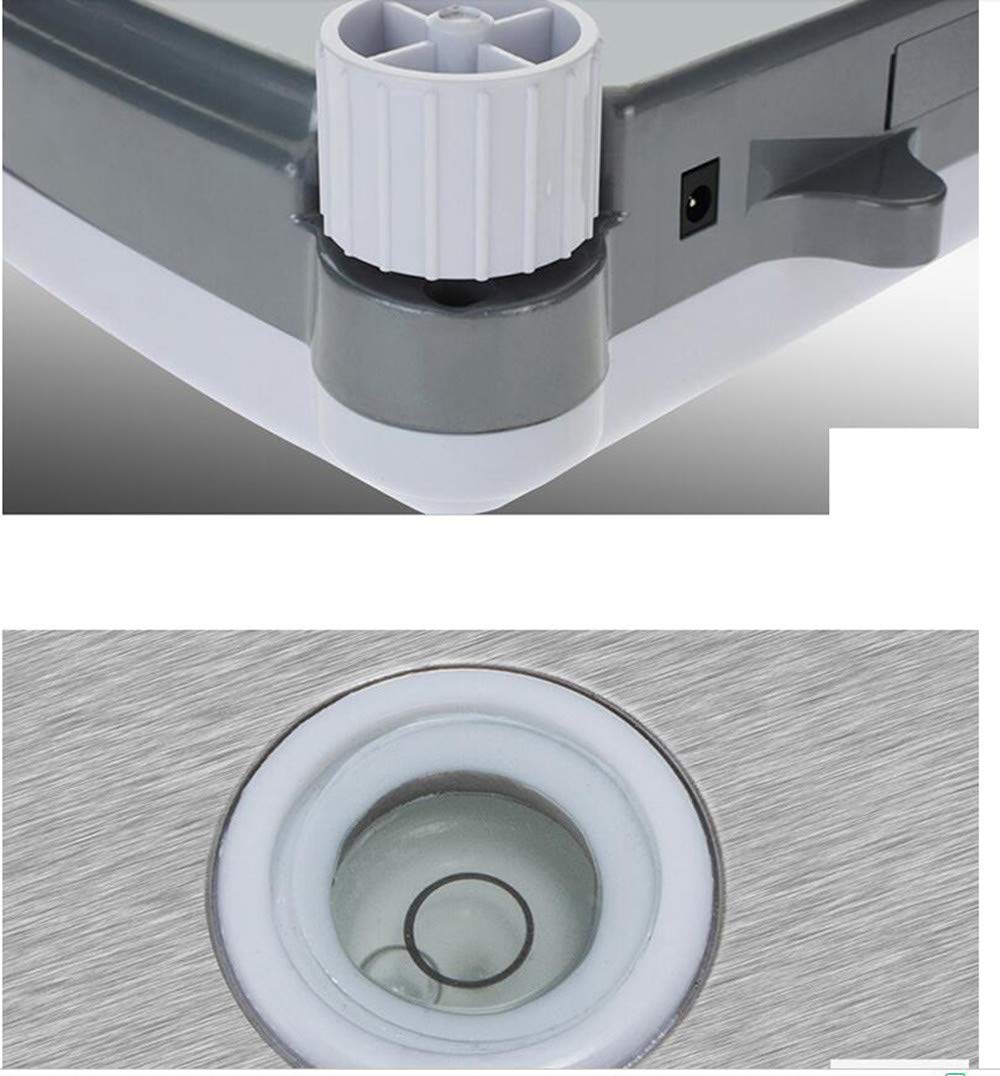 Balance de laboratoire numérique de haute précision 0,01 g Balance de laboratoire électronique analytique de précision pour laboratoires Bijoux Or (prise 220 V UE/Royaume-Uni/AU, 50 Hz, MAX 600 g/0,