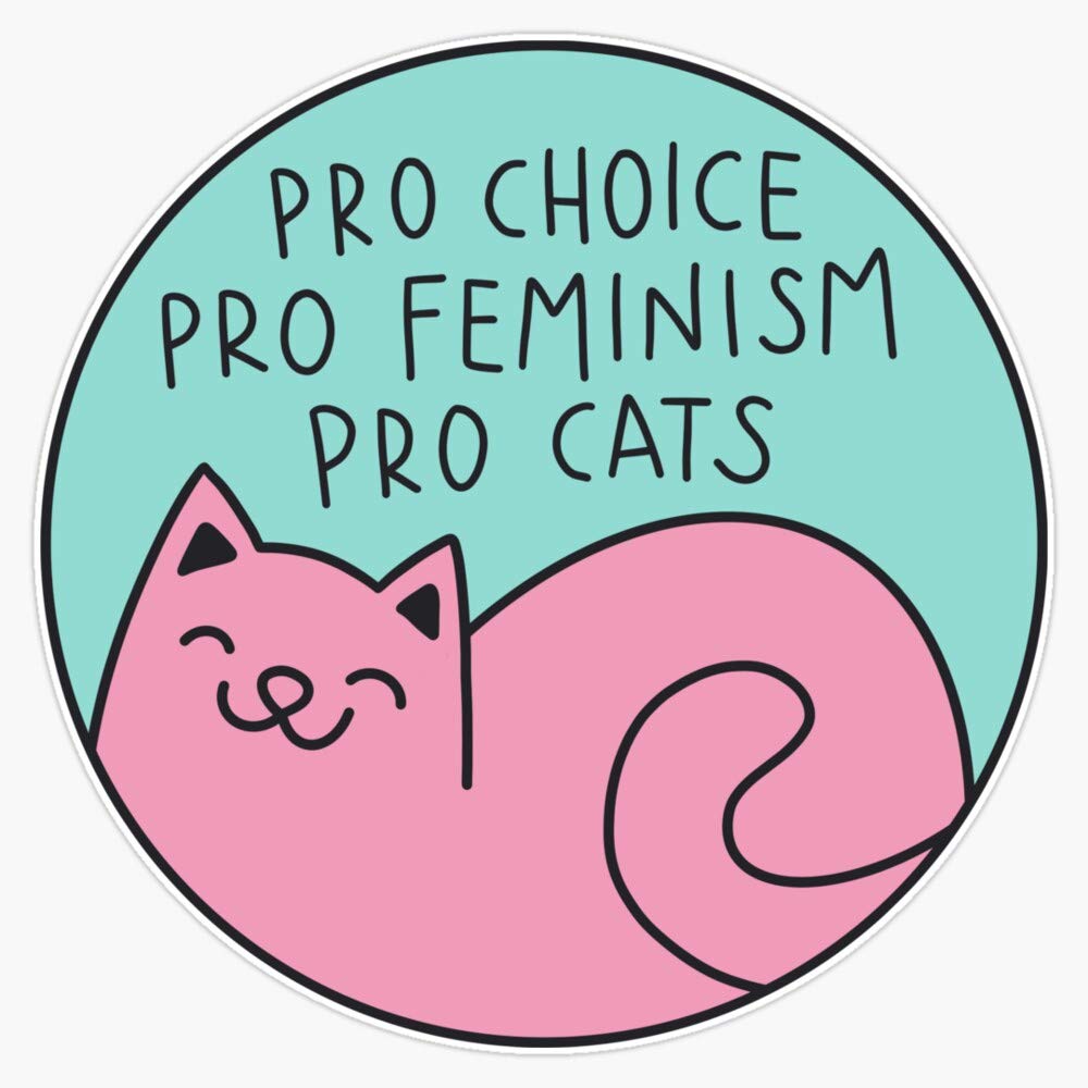 Pro Choice Pro Feminism Pro Cats Sticker Decal Vinyl Bumper Sticker Decal Waterproof 5