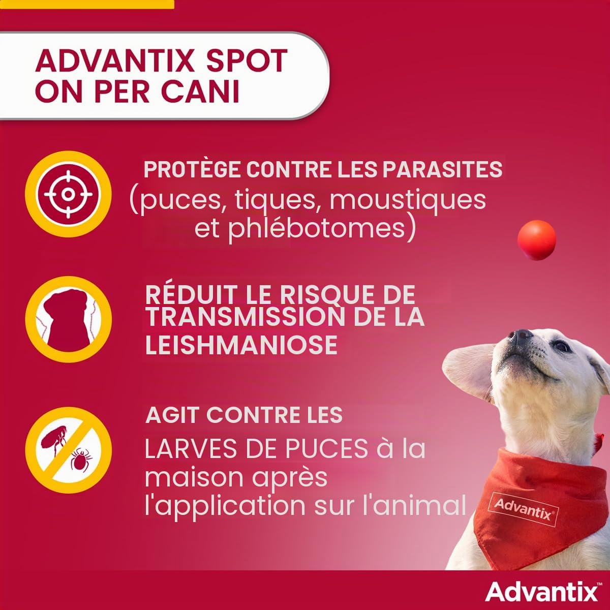 Bayer advantix x chiens 4-10 kg - 4 pipettes