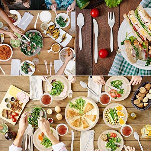 Nicole Fantini Disposable Economical Plastic White Knifes (200 Count) for home Resturant, Hotel, Deli & big parties