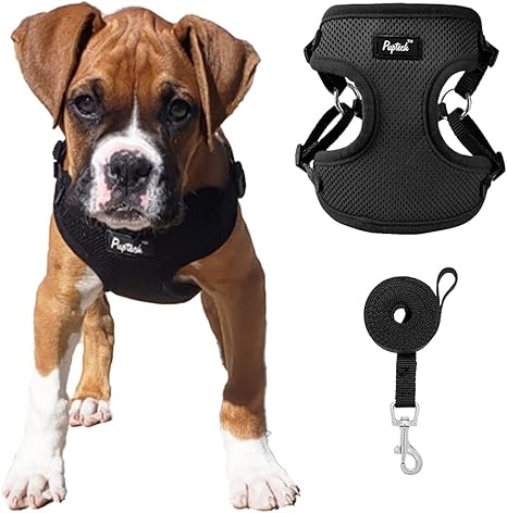 small dog harness amazon
