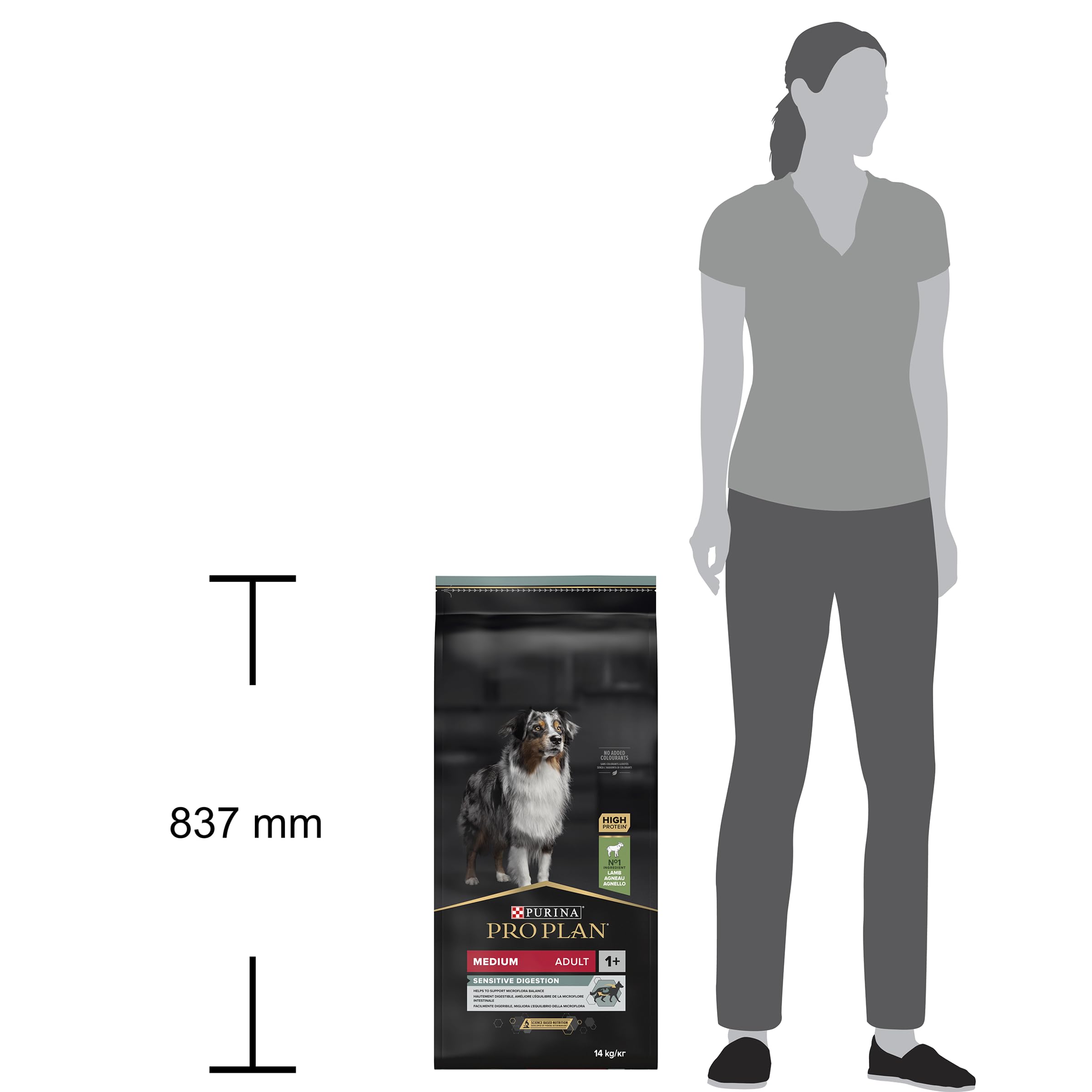 PRO PLAN | Sensitive Digestion | Medium Adult | Karma sucha dla dorosłych psów bogata w jagnięcinę | 14 kg