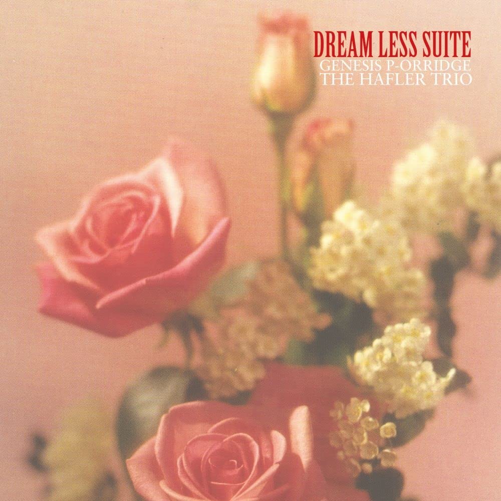 Dream Less Suite [VINYL]