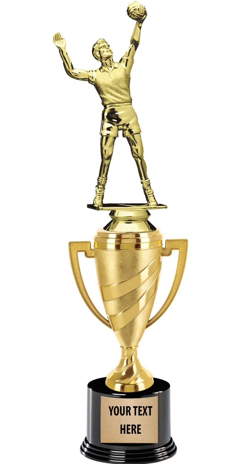 Buy Crown Awards Volleyball Trophy, 14" Gold Cup Mens Volleyball