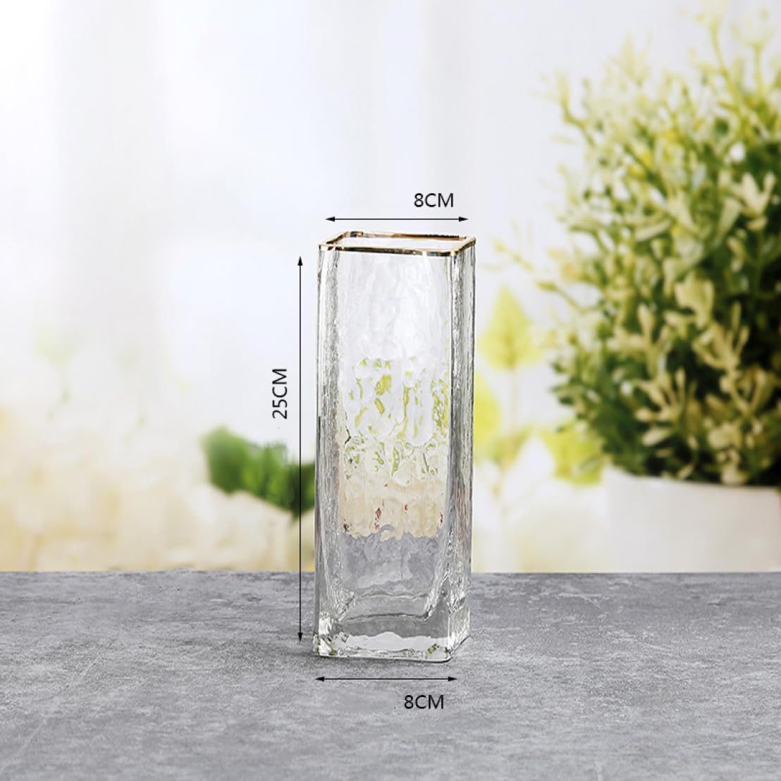 Amazon.co.jp: YJFFQ ガラスの花瓶 透明 8*30cm 花器 フラワーベース