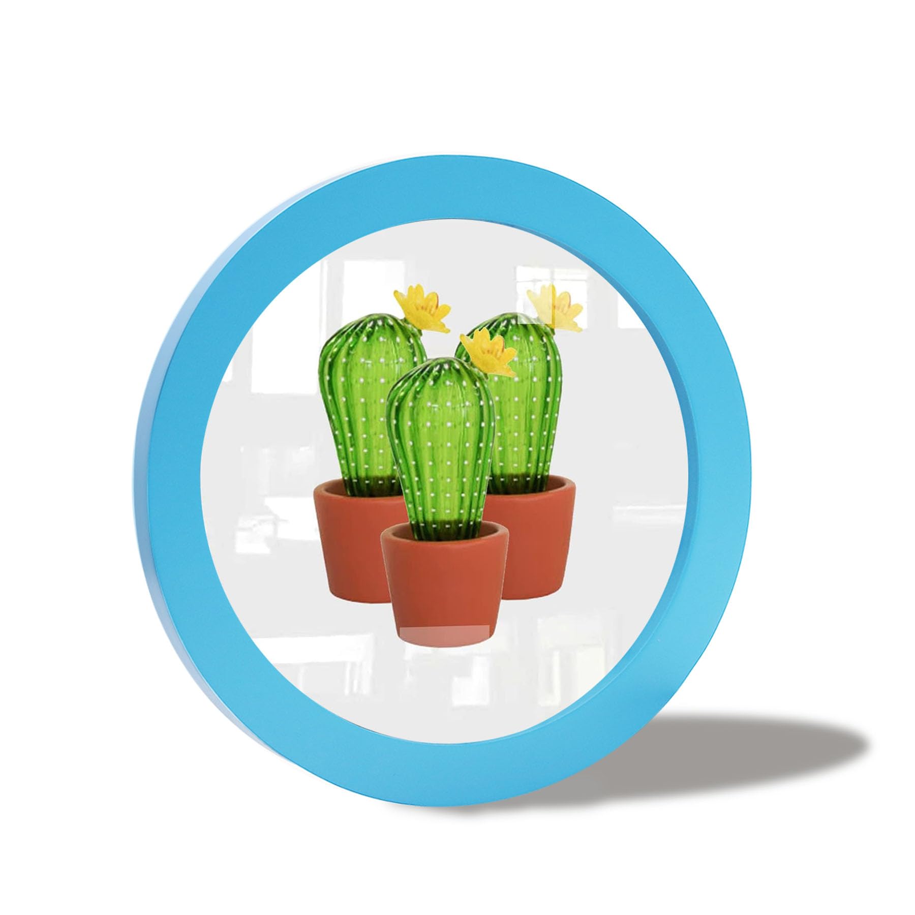 irbaniland Colorful Round Photo Frames for Wall Mounting Display or Table Mounting Picture Frame Decorative Hanging Circle Photo Frame for Kitchen