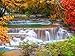 Produktbild VLIES Fototapete-WASSERFALL IM REGENWALD-350x260cm-7 Bahnen-(374T)-Inkl. Kleister-EASYINSTALL-PREMIUM-Tapete XXL Foto-Mural Bild Poster Einhörner Pferde Fabel Tiere Kinder Natur Landschaft