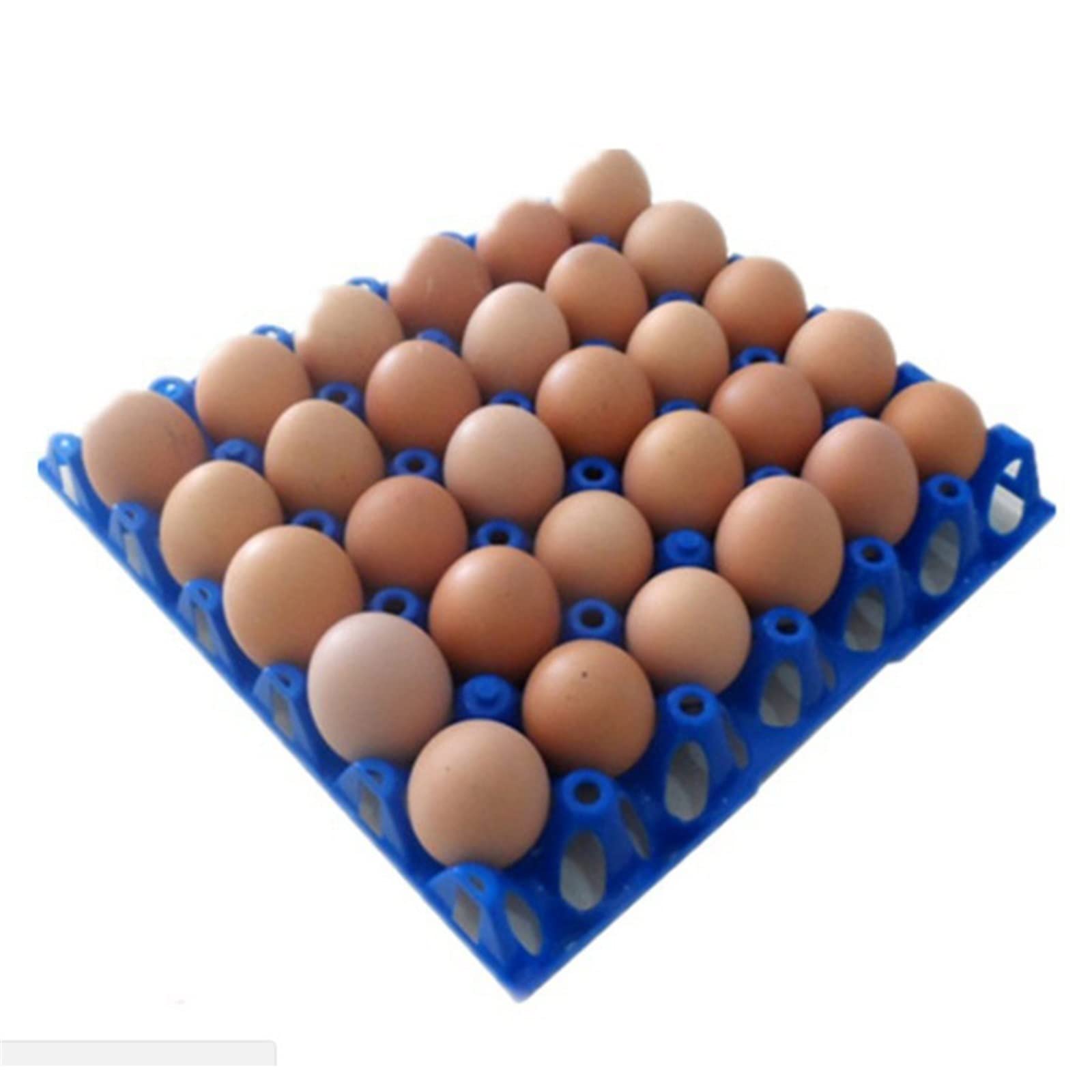 Huevera para refrigerador Hueveras de plástico Transporte de Larga Distancia Transferencia de paletas de Huevos Dedicado