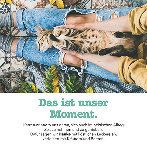 GimCat Crunchy Snacks Ente mit Katzenminze - Knuspriges und proteinreiches Katzenleckerli ohne Zuckerzusatz - 1 Beutel (1 x 50 g) - Image 7