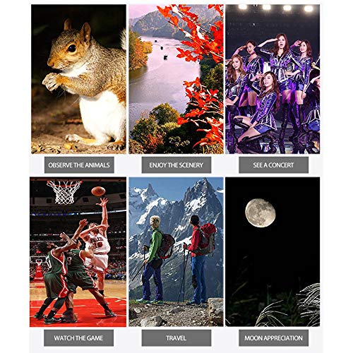 DECDEAL 40 * 60 Telescópio Móvel Câmera Portátil Ao Ar Livre Fotografia Animal Observando Telescópio