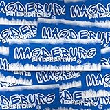 Fan-Kultur Xperience