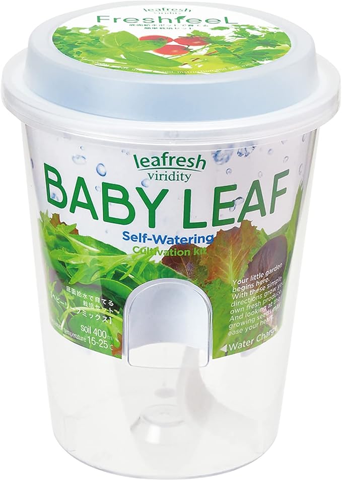 聖新陶芸 家庭菜園 簡単 栽培キット ベビーリーフミックス 室内 香草 野菜 栽培セット 約11cm フレッシュフィール 母の日 プレゼント 誕生日 GD-81904