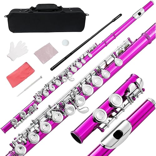 16 Key Closed Hole C Flute - Student Flute for Beginners,Easy to Play with Durable Design, Includes Carrying Case, Cleaning Kit, Gloves, Perfect for Learning(Pink)