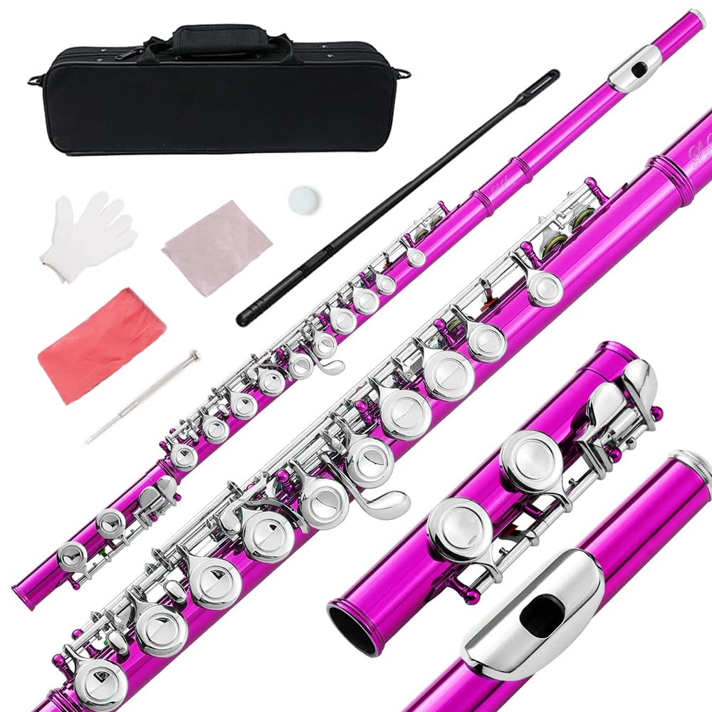 16 Key C Flute, Silver, Wood, Nickel-Silver, Closed Hole, Beginner to Professional, Includes Carry Bag, Gloves, Cleaning Rod, Tuning Rod, Gift Box (fen)