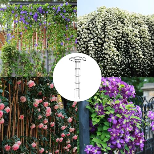 Soporte de metal para clemátides que transforma su jardín en un edén 3
