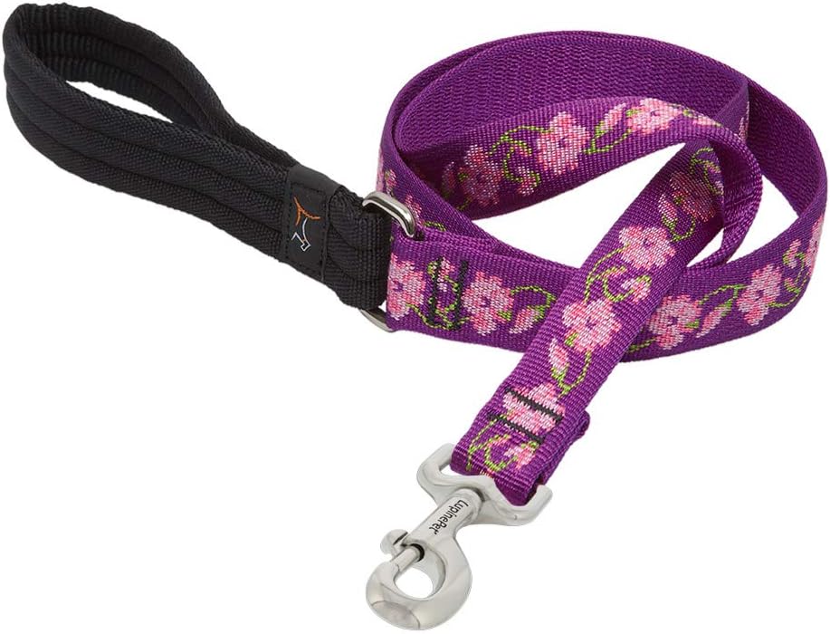 LupinePet Originals 1" Rose Garden 6-Foot Padded Handle Leash for Medium and Larger Dogs